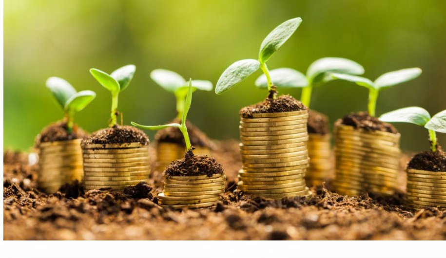 Seedlings sprouting from stacks of coins